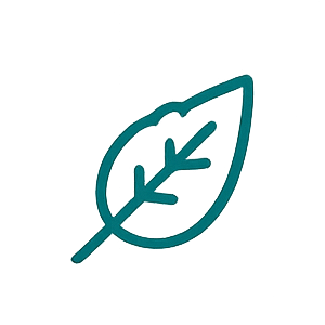 leaf icon