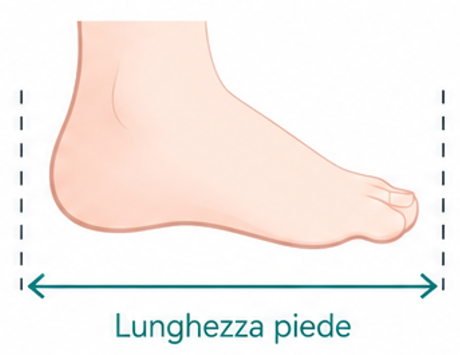 shoe size diagram